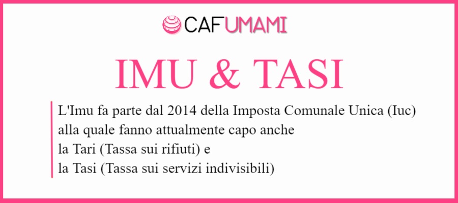 Dichiarazioni IMU